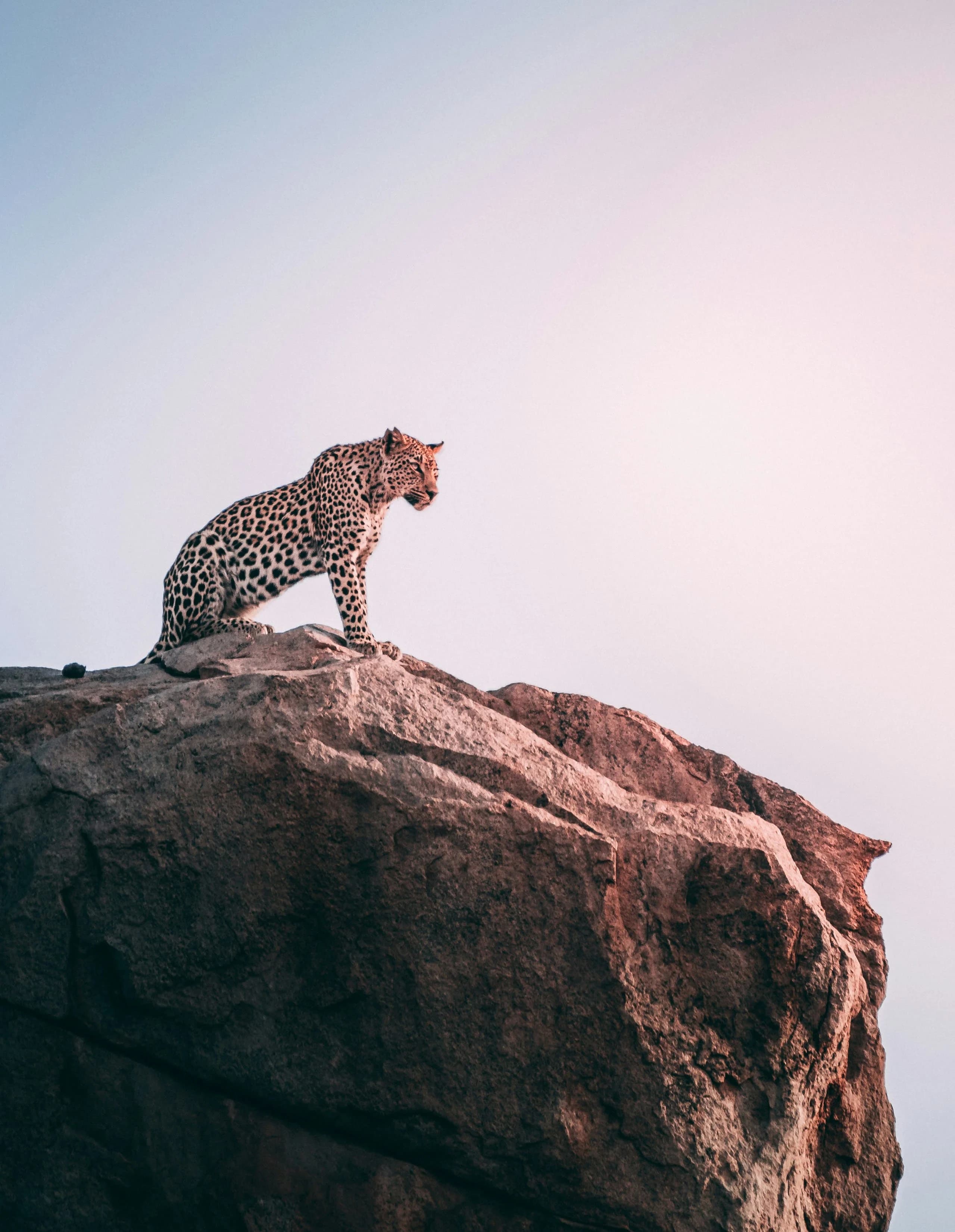 South Africa 3
