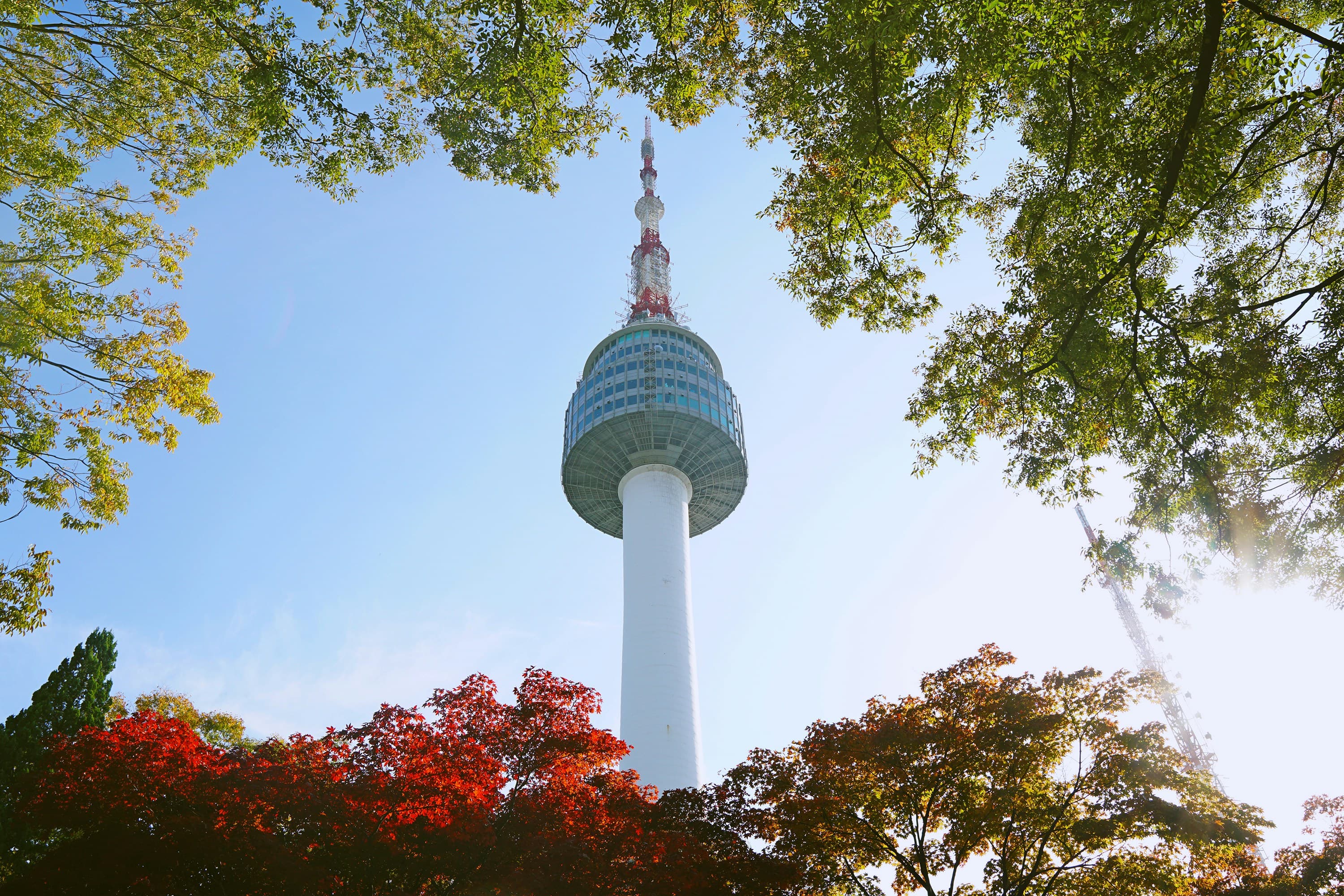 South Korea Ladies Group Tour - 7 Nights / 8 Days, Dept. 18 Sep 2026